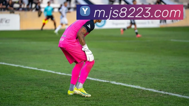 App Interface Preview