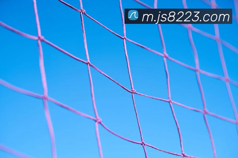 金沙国际娱乐城APP 封面图